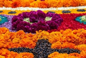 Day of the Dead Mexico City: Walking Tour