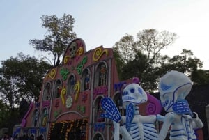 Day of the Dead Mexico City: Walking Tour