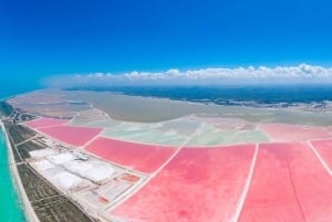 Desde Mérida: Las Coloradas, Río Lagartos y Excursión a la Playa