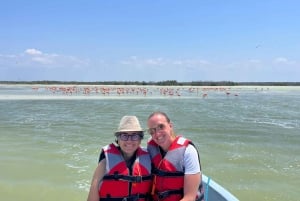 Desde Mérida: Tour Las Coloradas, Rio Lagartos y Playa