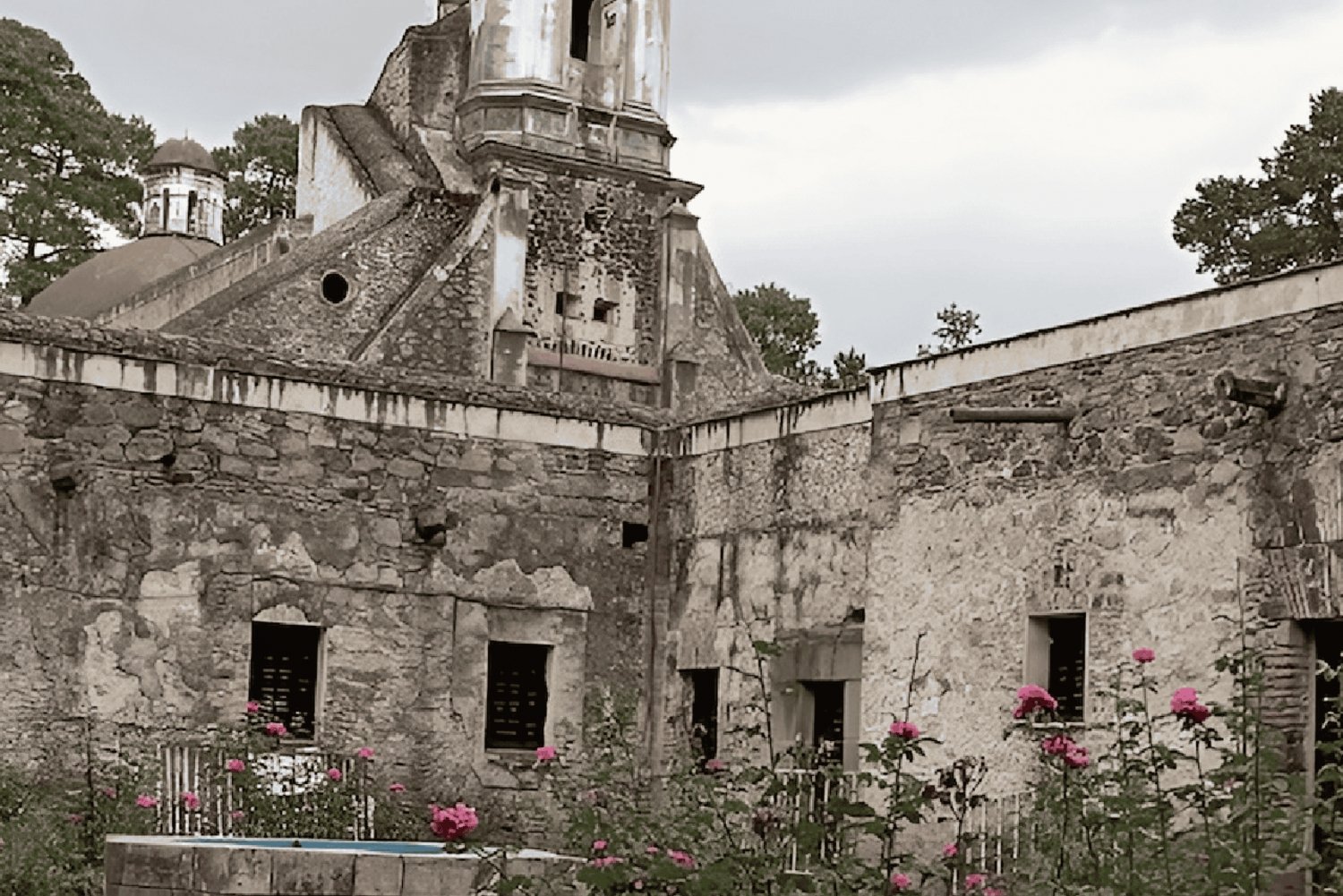 Ciudad de México: Excursión al Desierto de los Leones y Visita al Ex Convento