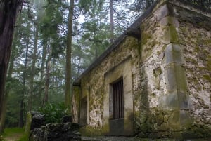 Ciudad de México: Excursión al Desierto de los Leones y Visita al Ex Convento