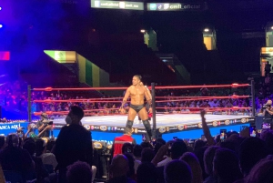 ⭐️¡Diseña tus máscaras de lucha libre y vamos al espectáculo en vivo!