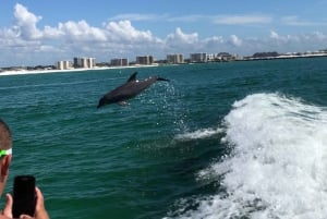Destin: Crucero de Observación de Delfines
