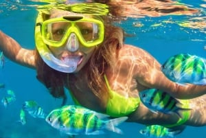 Destin: Snorkeling and Dolphin Watching Cruise