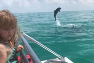 Destin: Crucero de snorkel y avistamiento de delfines