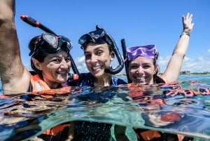 Discover an amazing reefsnorkel tour from Cancun!