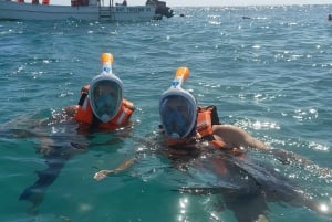 Discover an amazing reefsnorkel tour from Cancun!