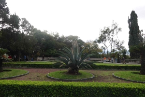 Discover Chapultepec Forest in Mexico City.