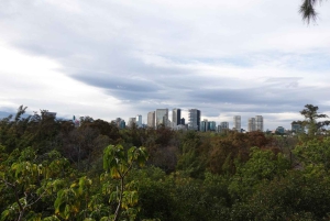 Discover Chapultepec Forest in Mexico City.