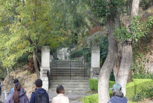 Discover Chapultepec Forest in Mexico City.
