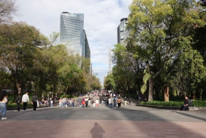 Discover Chapultepec Forest in Mexico City.