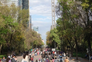 Discover Chapultepec Forest in Mexico City.