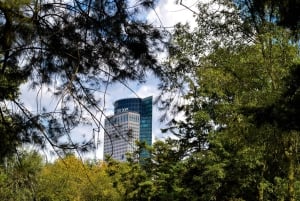 Descubre el Bosque de Chapultepec de Ciudad de México