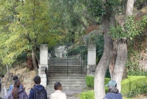 Descubre el Bosque de Chapultepec de Ciudad de México