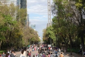 Descubre el Bosque de Chapultepec de Ciudad de México