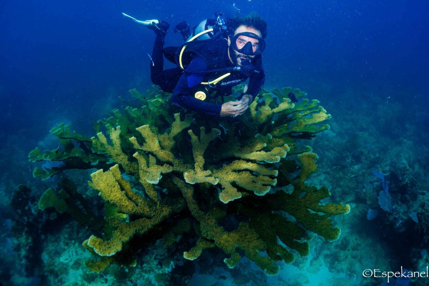 Costa Maya: Discover Scuba Diving Reef Experience