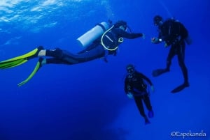 Costa Maya: Discover Scuba Diving Reef Experience