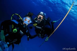 Costa Maya: Discover Scuba Diving Reef Experience