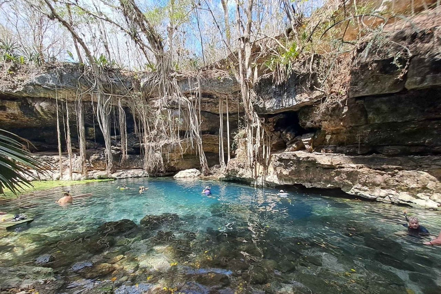 Descubre la Serenidad: Un Recorrido por los Cenotes Ocultos