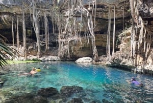 Descubre la Serenidad: Un Recorrido por los Cenotes Ocultos