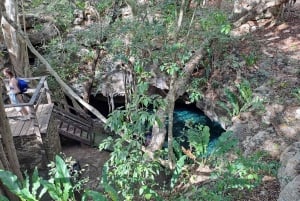 Descubre la Serenidad: Un Recorrido por los Cenotes Ocultos