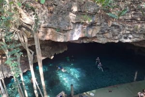 Descubre la Serenidad: Un Recorrido por los Cenotes Ocultos