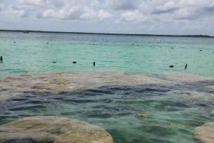 Discover Tulum and the mayan zone