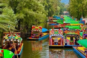 Discover Xochimilco and Coyoacán: Tradition, Music, Culture