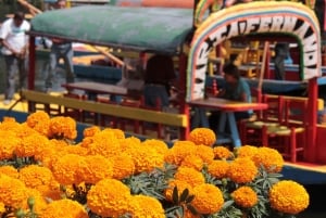 Discover Xochimilco and Coyoacán: Tradition, Music, Culture