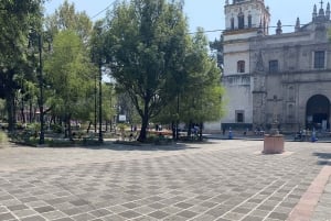 Discover Xochimilco and Coyoacán: Tradition, Music, Culture