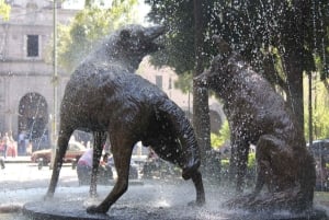 Discover Xochimilco and Coyoacán: Tradition, Music, Culture