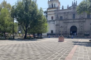 Discover Xochimilco, Coyoacán and the Estadio Azteca