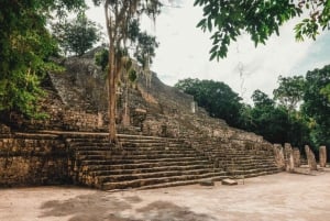 Discovering Calakmul