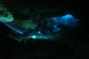 DIVING IN MAYAN CENOTES; THE LARGEST AQUIFER IN THE WORLD