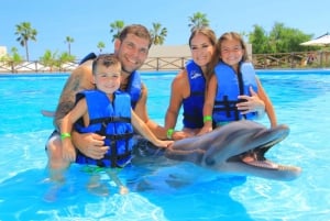 Cabo San Lucas: Dolphin Family Encounter