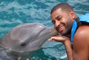 Dolphin Meet & Greet Cozumel