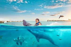 Dolphin Royal Swim VIP en Isla Mujeres