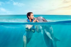 Dolphin Royal Swim VIP en Isla Mujeres