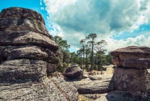 Durango: Tour Bellezas de la Sierra Madre Occidental