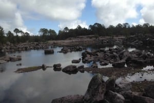 Durango: Mexiquillo Tour