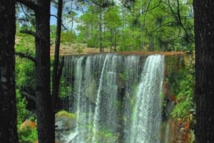 Durango: Mexiquillo Tour