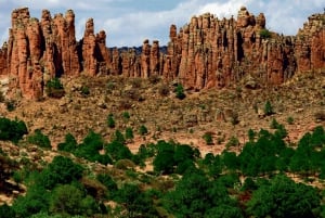 Durango: Excursión Sierra de Órganos y El Malpaís