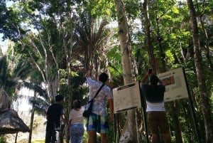 Ruinas de Dzibanche y Kohunlich desde Bacalar y Chetumal