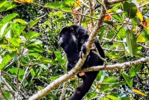 Ruinas de Dzibanche y Kohunlich desde Bacalar y Chetumal