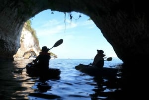 Eco-Snorkel Adventure to Los Arcos Marine Park of Mismaloya