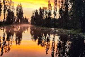 Ecotour: Amanecer en Xochimilco