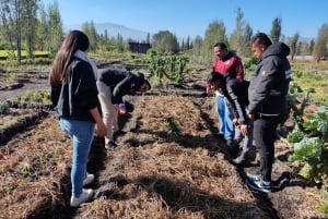 Ecotour: Amanecer en Xochimilco