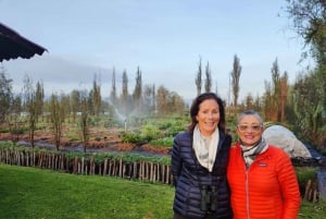 Ecotour: Amanecer en Xochimilco