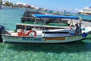 Cozumel: Snorkel en El Cielo y Palancar con Barra Libre y Ceviche